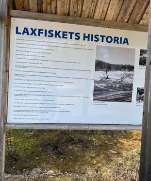 Laxfiskets historia